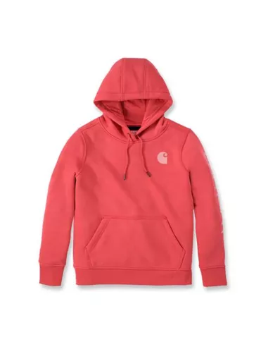 Carhartt Logo Sleeve Graphic Hoodie